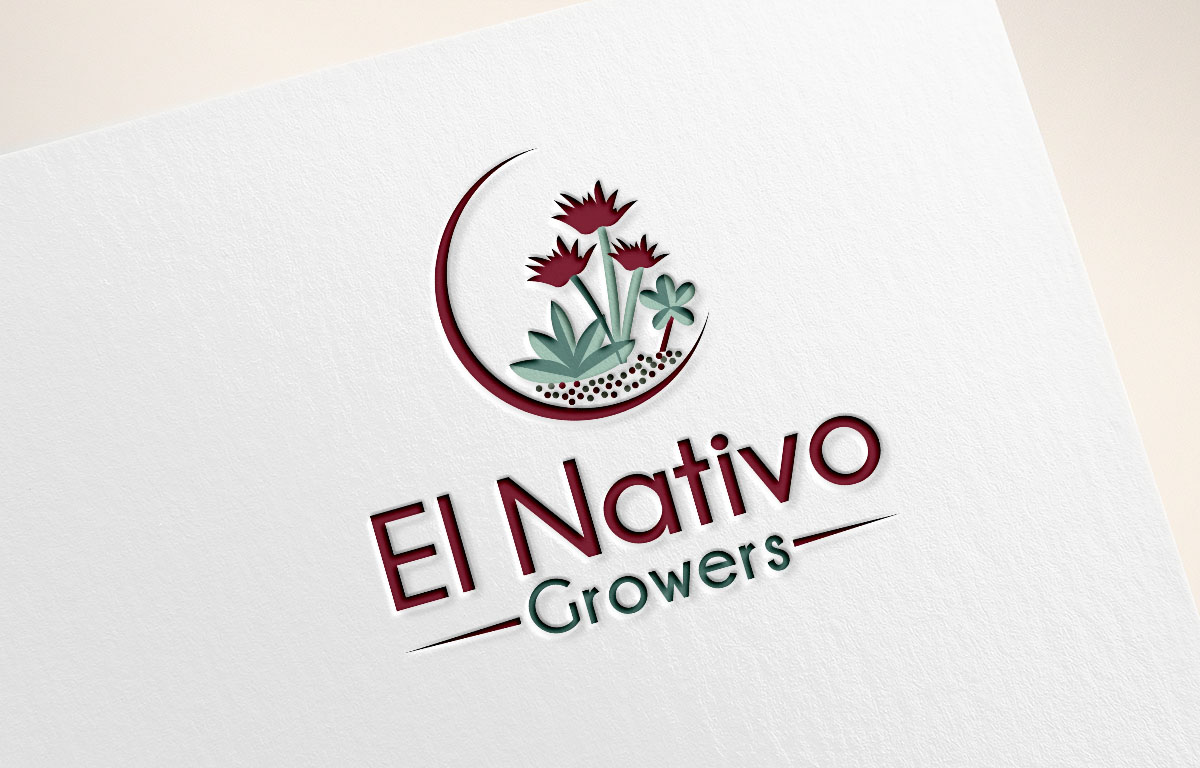 Diseño de Logo por Turn Digital para este proyecto | Diseño #13147321