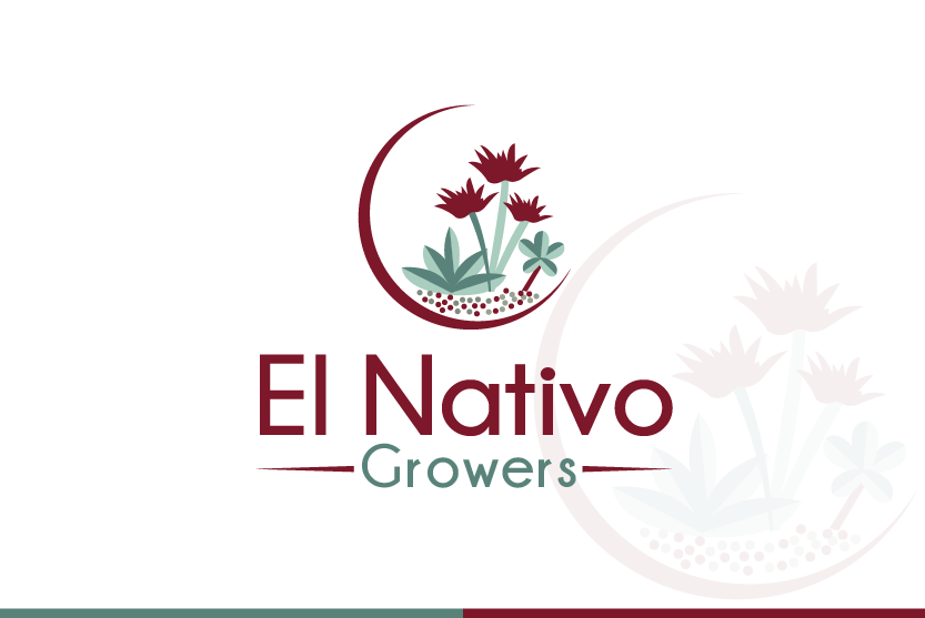 Diseño de Logo por Turn Digital para este proyecto | Diseño #13147324