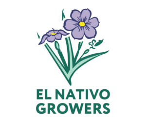 Logo Design by elihodgers.backup for this project | Design: #13144774