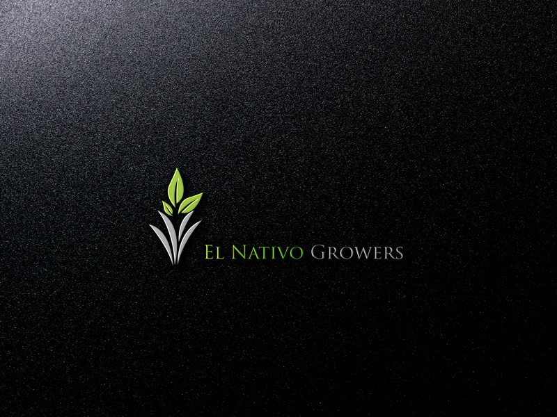 Logo Design by imshohaghossain85 for this project | Design #13145503