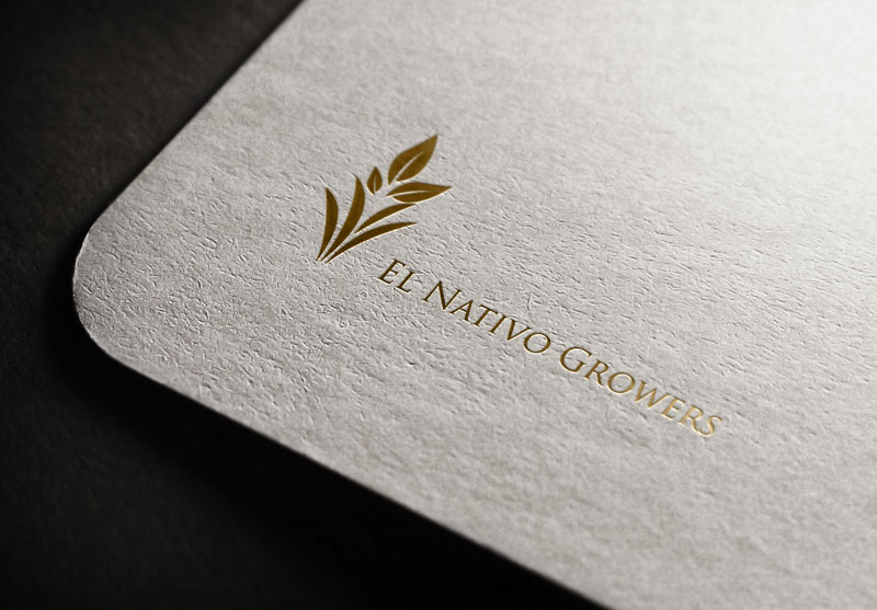 Logo Design by imshohaghossain85 for this project | Design #13145505