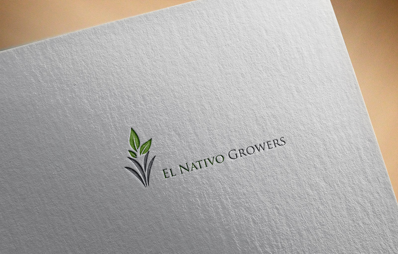 Logo Design by imshohaghossain85 for this project | Design #13145507