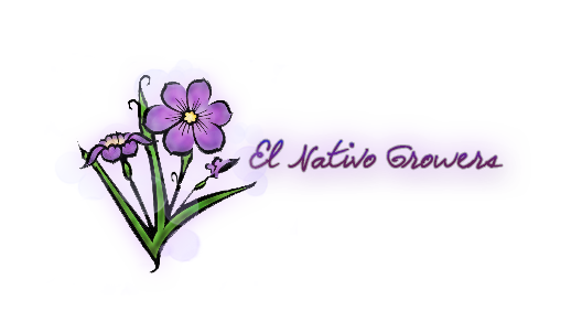 Logo Design by larisam24 for this project | Design #13144760