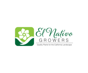 Logo Design by Boon for this project | Design #13143407