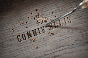 Diseño de Logo por GLDesigns para este proyecto | Diseño: #13340919