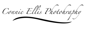 Logo Design by rjjam497