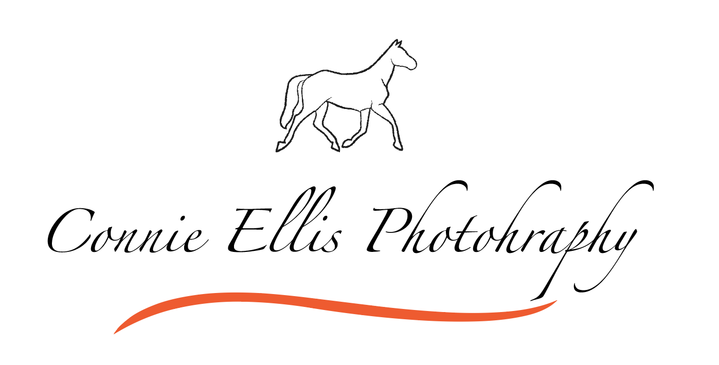 Logo Design by rjjam497 for this project | Design #13417983