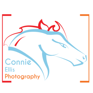 Logo Design by Soheil.Jei