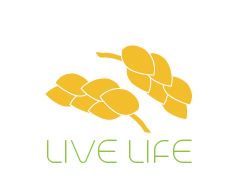 Logo Design by Zunayed