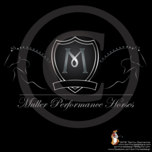 Logo Design by Painthorsedesign