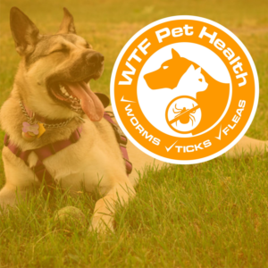 Logo-Design von hamkur für dieses Projekt | Design: #13183609