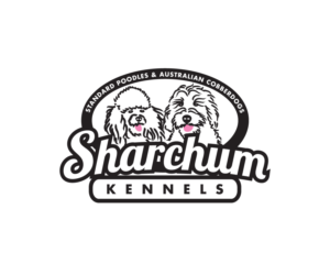 Logo Design by 808Miles for Sharchum Standard Poodle's and Australian Cobberdogs | Design: #13164858