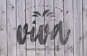 Logo Design by GLDesigns for Denver Climbing Company LLC | Design: #13171668
