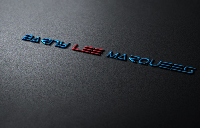 Logo Design by Top king  designer for Barny Lee Marquees Ltd | Design #13191562