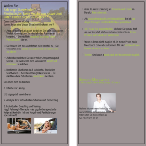 Design de Flyer par CarleyA pour ce projet | Design : #13179254