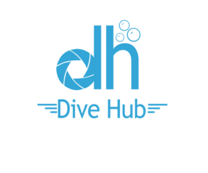 Logo Design by musemaster