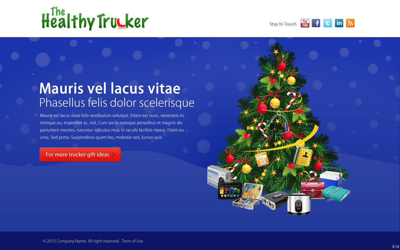 Web Design by pb for Tangent Point Media | Design #2466425