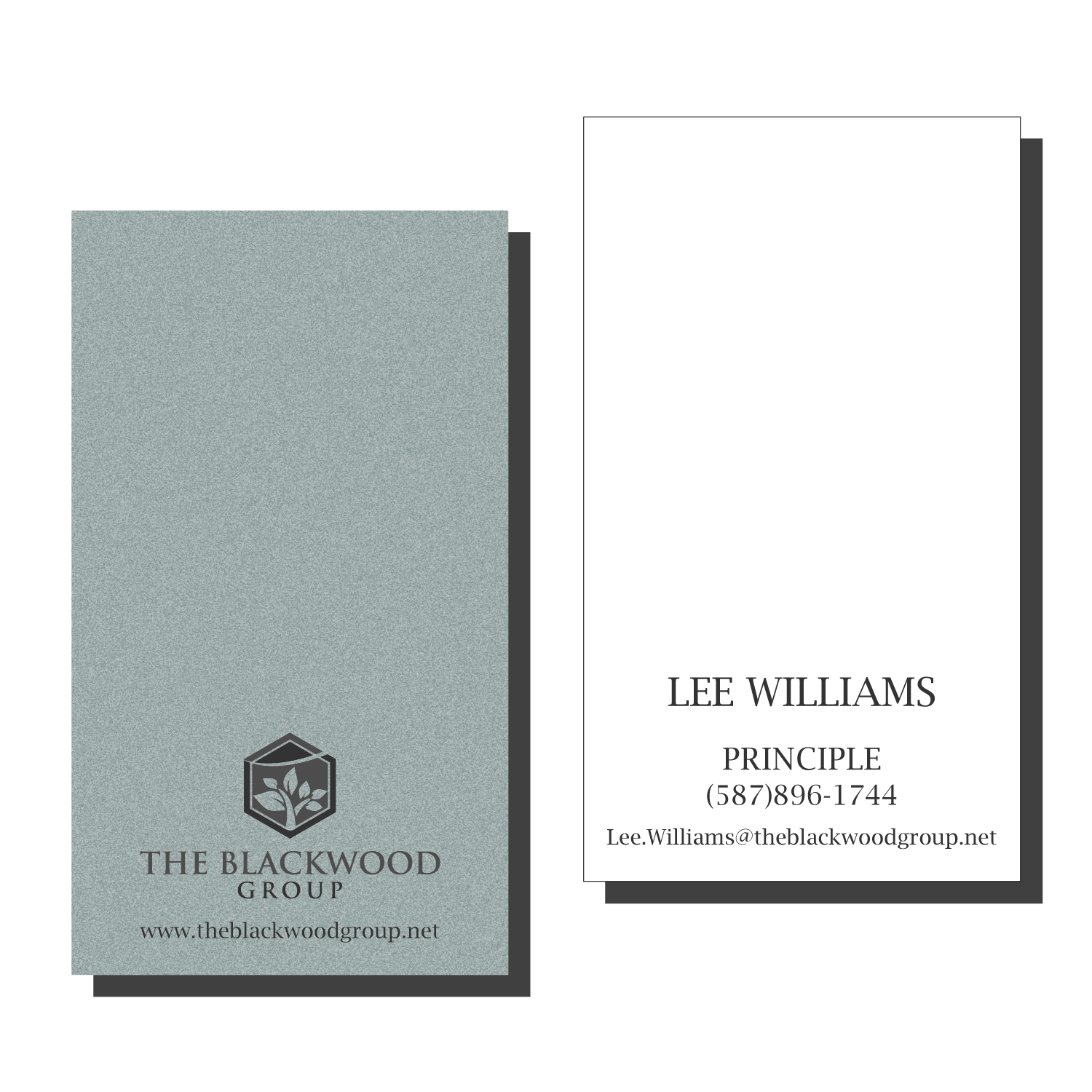 Business Card Design by syed2024 for The Blackwood Group | Design #13187052