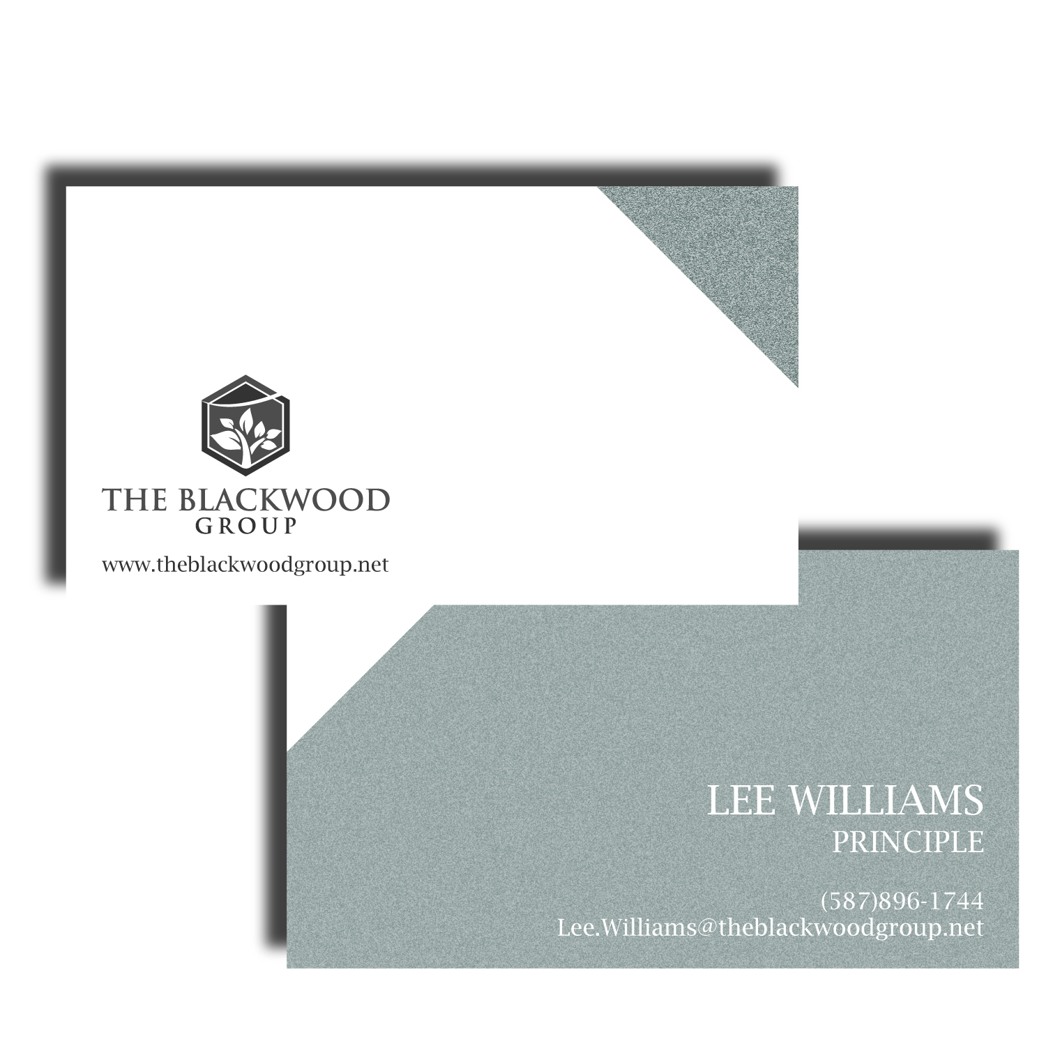 Business Card Design by syed2024 for The Blackwood Group | Design #13189486