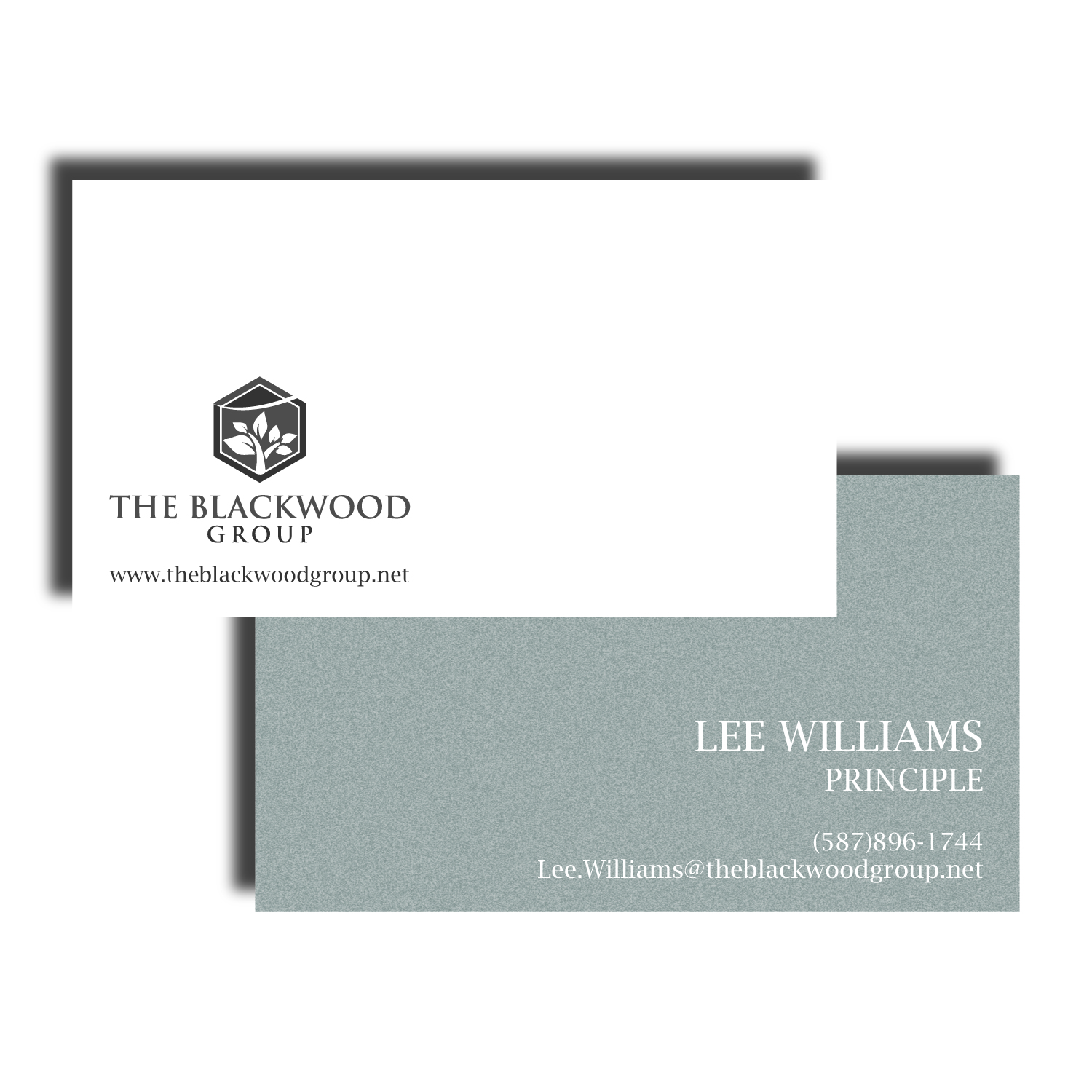 Business Card Design by syed2024 for The Blackwood Group | Design #13189858