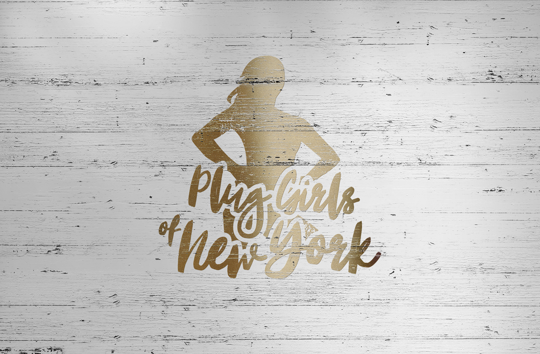Logo Design by GLDesigns for The Plug Show | Design #13195670