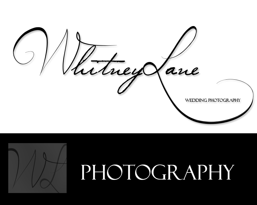 Logo Design by BeeInspired for this project | Design #2467441