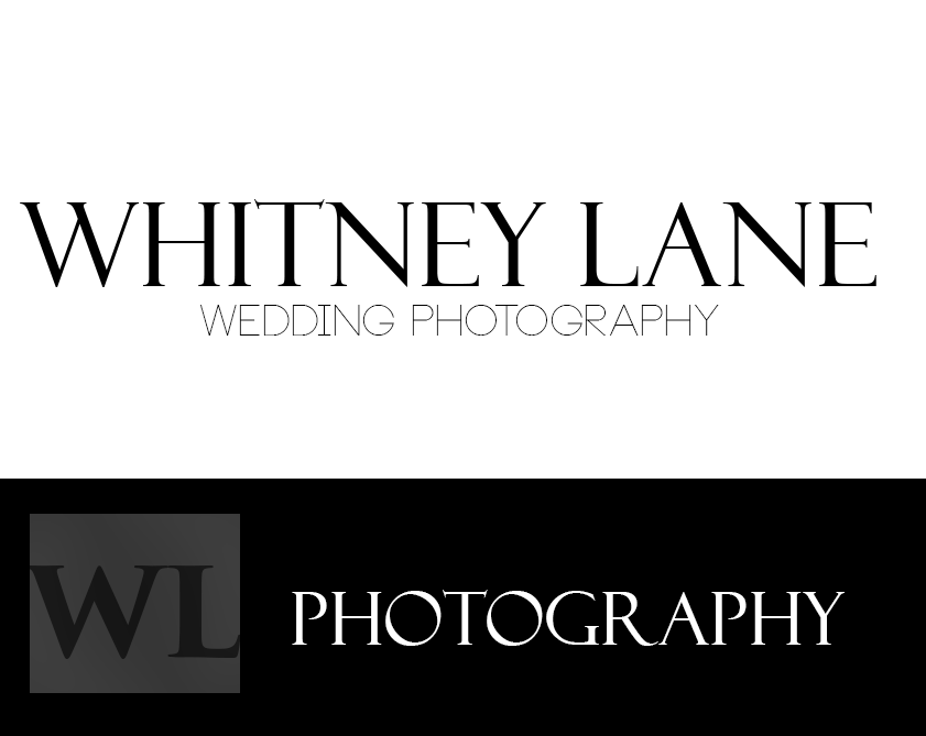 Logo Design by BeeInspired for this project | Design #2467466