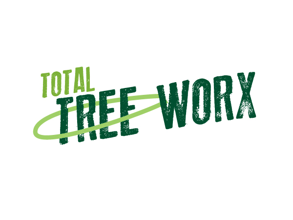 Logo Design by dellenbach design for this project | Design #579523