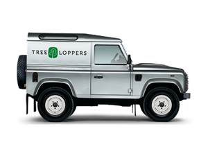 Logo Design by brandphant for this project | Design: #538496