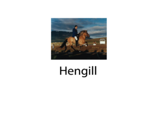 Diseño de Logo por imismailhossainbd para Hengill tours | Diseño #13200030