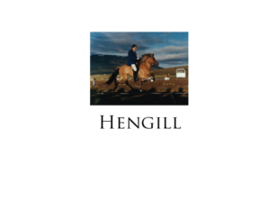 Logo Design by imismailhossainbd for Hengill tours | Design: #13200047