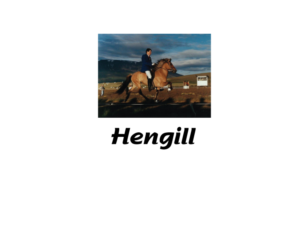 Logo Design by imismailhossainbd for Hengill tours | Design: #13200088