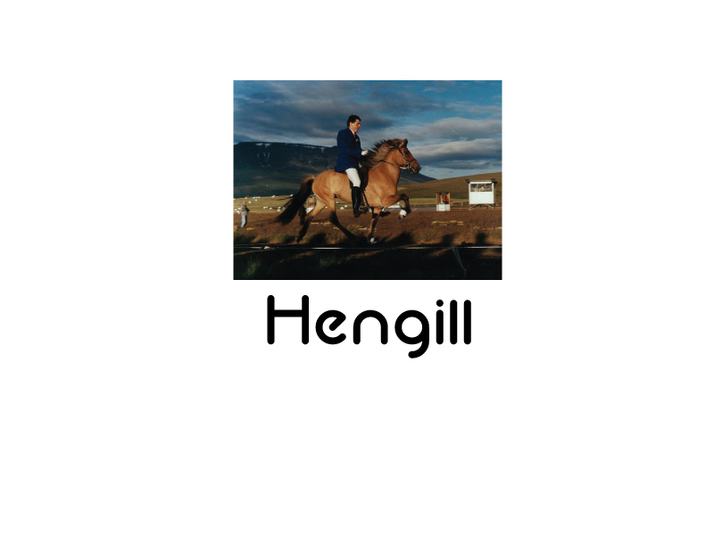 Logo Design by imismailhossainbd for Hengill tours | Design #13200114