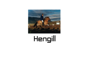 Logo Design by imismailhossainbd for Hengill tours | Design: #13200135