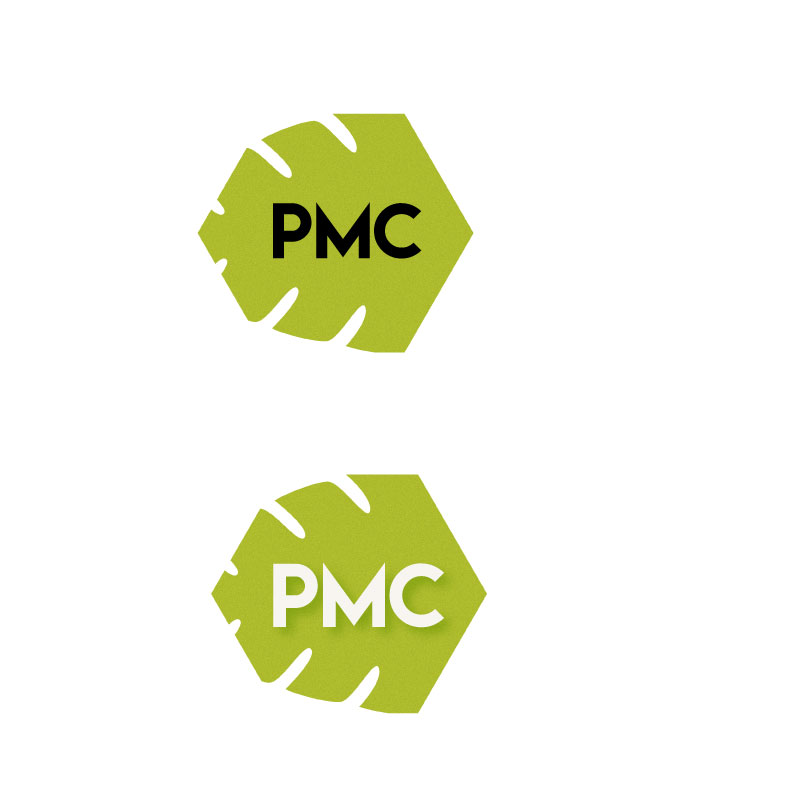 Logo Design by eema.naqvi for Biz Flowgate PTY LTD | Design #13195749