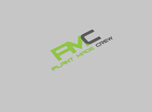 Logo Design by logout babu for Biz Flowgate PTY LTD | Design: #13189137