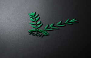 Logo Design by Top king  designer for Biz Flowgate PTY LTD | Design: #13189235