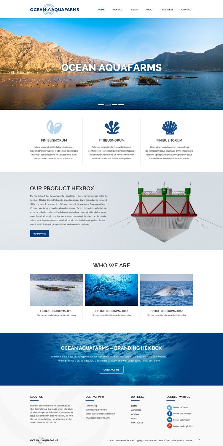 Diseño Web por pb para este proyecto | Diseño #13222878