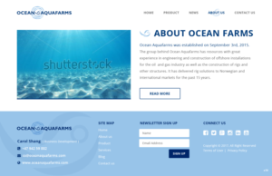 Web Design by pb for this project | Design: #13459018