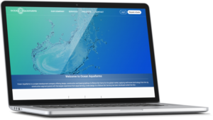 Web Design by cCopilot for this project | Design: #13223312