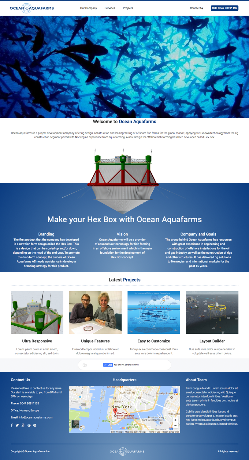 Diseño Web por cCopilot para este proyecto | Diseño #13223319