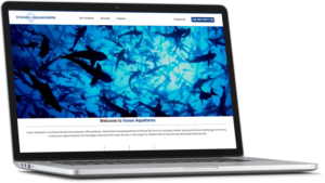 Web Design by cCopilot for this project | Design: #13223320