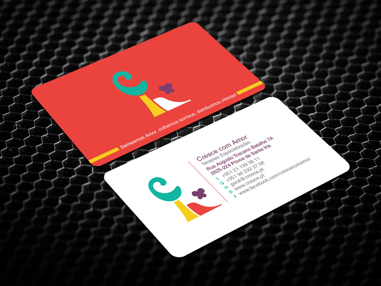 Business Card Design by Verified artistry (Design garden) for this project | Design #13258954