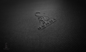 Logo Design by noishotori for Bendy Wendy Ltd. | Design: #13225056