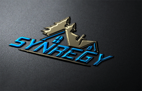Logo Design by tani_sha321 for Synregy Group | Design #13202528