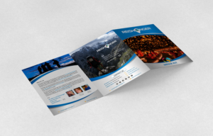 Design de Brochure par ecorokerz pour ce projet | Design : #13244802