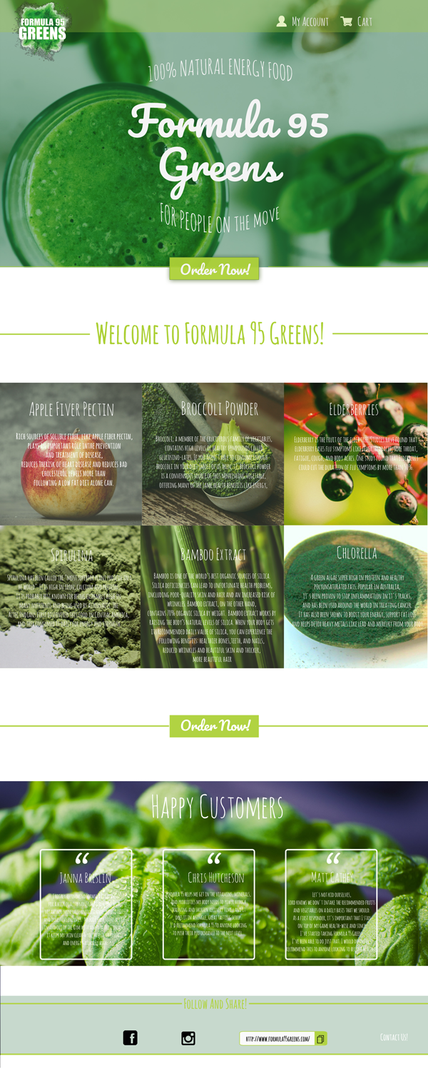 Web Design by Anna Richter for F95 Ventures LLC | Design #13375363