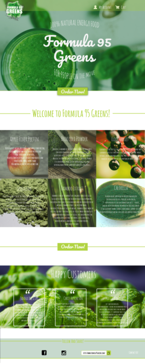 Web Design by Anna Richter for F95 Ventures LLC | Design: #13375363