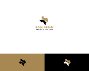 Logo Design by damakyjr for this project | Design: #13260514