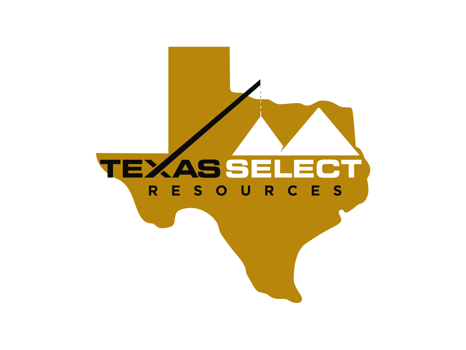 Logo Design by R16 for this project | Design #13240581
